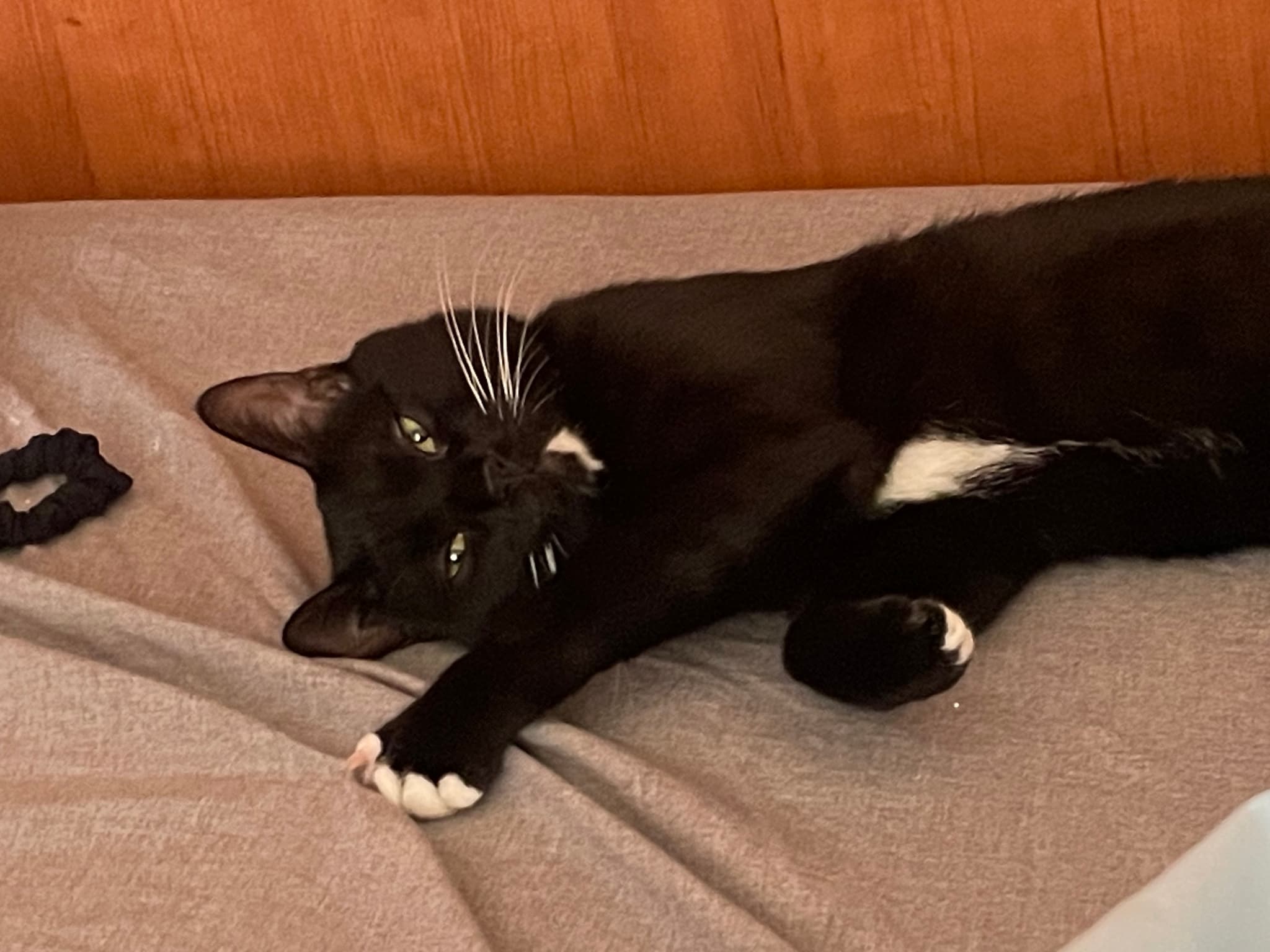 喂 睡觉就憋抓我床单了